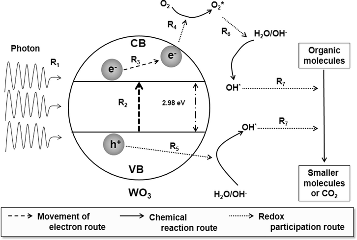 Proposal mechanism for the photocatalytic process.