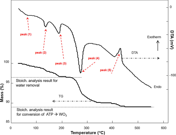TG-DTA analysis results of ATP.
