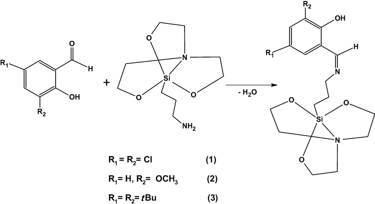 The general reaction pathway leading to the Schiff base-functionalized propylsilatranes.