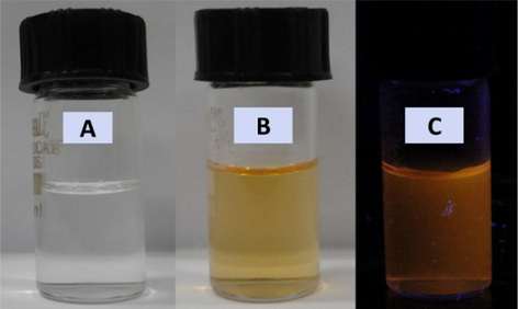 (a) Unirradiated reaction mixture containing Cd:Se precursors as 0.5:0.5 mM along with 0.5 mg/ml starch in the presence of 2% (v/v) acetone and 2-propanol, (b) orange-yellow coloured colloidal solution obtained after photoirradiation with 300 nm UV lamp and (c) camera-ready picture of the same colloidal solution under UV light.