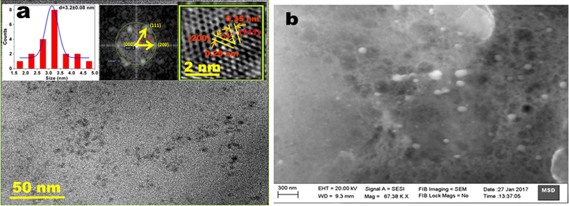(a) TEM image of CdSe QDs inset 1; particle size distribution, inset 2 FFT pattern and inset 3 HRTEM image showing inter planar distances corresponding to (1 1 1) and (2 0 0) planes, (b). SEM image showing aggregated morphology of CdSe QDs.