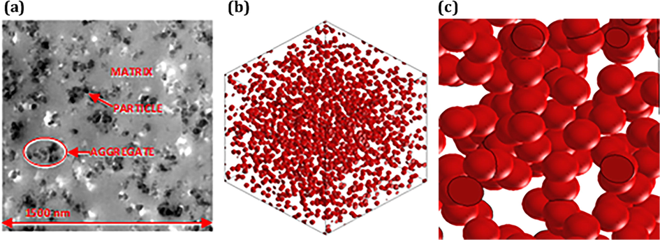 Microstructures of CB/PCL composites. (a) CB randomly distributed in PCL polymer matrix (Ma et al., 2004), (b) Simulated microstructure with 1000 CB particles, (c) Zoom in on the aggregates phases.