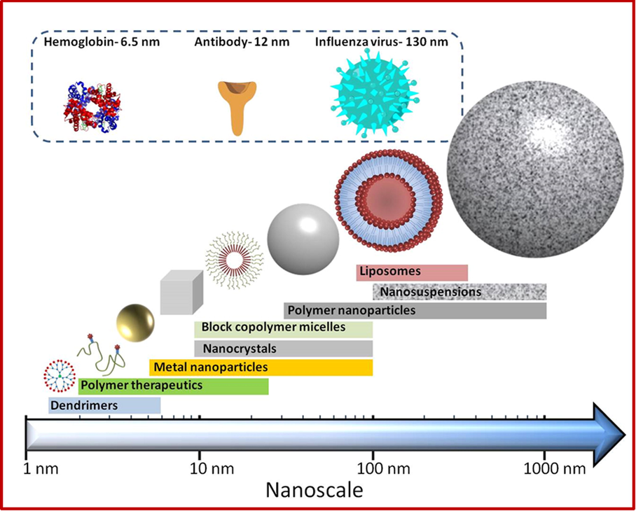 Different structures of nanomedicines and their approximate sizes (http://www.britishsocietynanomedicine.org/what-is-nanomedicine/).