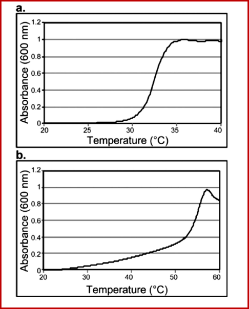 UV–vis turbidity study of (a) polymer, and (b) conjugate. LCST is 10% of the maximum absorbance. Reprinted from reference (Matsumoto et al., 2013).