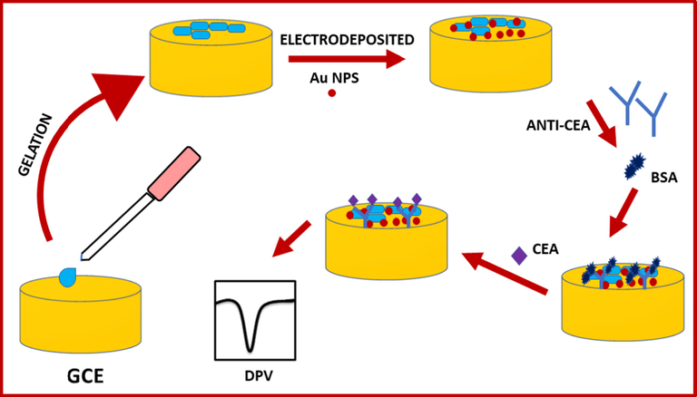 Schematic illustration of the electrochemical immunoassay protocol. Modified from reference (Rong et al., 2015).