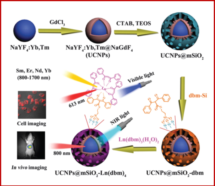 Schematic of the preparation and structure of multifunctional mesoporous NPs containing both upconversion and magnetic nanophosphors (with an architecture of the type NaYF4:Yb,Tm@NaGdF4) and covered with a conventional luminescent lanthanide complex (Ln-dbm) for use in upconversion and downconversion luminescence imaging and as T1-weighed MRI contrast agents. Reprinted from reference (Sun et al., 2014).
