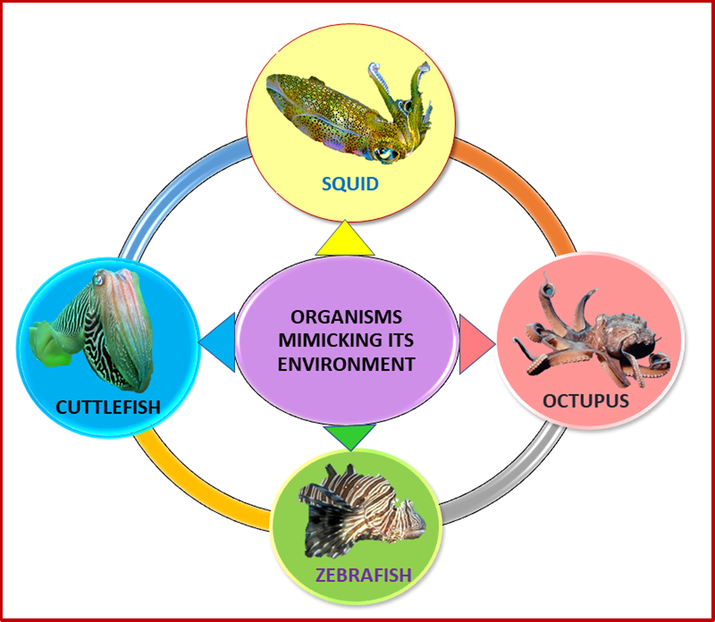 Organisms that camouflage to mimic their environment.