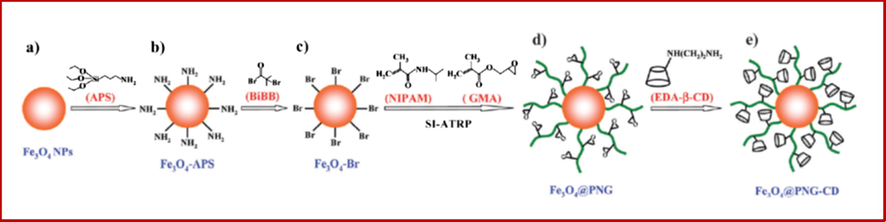 Synthesis of the Fe3O4@PNG-CD smart chiral MNPs. Reprinted from reference Song et al. (2016).