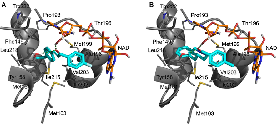 Intermolecular interactions of DFC (A) and co-crystalized ligand (B) at the active site of InhA from Mycobacterium tuberculosis.