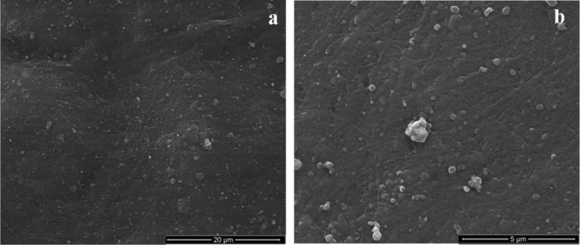 Biocompatible pure ZnO nanoparticles-3D bacterial cellulose ...