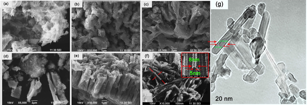 SEM image of rutile phase; (a) sample I, (b) sample II, (c) sample III, and anatase phase; (d) sample I, (e) sample II, (f) sample III, (g) TEM image of the nanotube obtained from the anatase phase.