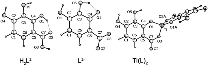 Molecular structure of the isomers of the H2L molecule, dianion L2− and metal complexes according to the DFT calculation.