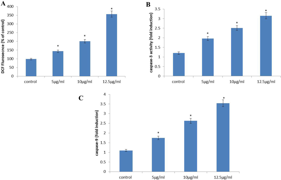 Apoptotic effects of AuNPs formulated from the Curcuma wenyujin (CW-AuNPs) against breast carcinoma cell line MDA-MB231/HER2. MDA-MB231/HER2 cells were supplemented with three different dosages of CW-AuNP’s 5 µg/ml, 10 µg/ml, 12.5 µg/ml for 24 h and assessed for ROS (A), Caspase 3 (B) and Caspase 9 (B). Each bar represents mean ± SEM of three independent measurements. p < 0.05 is regarded as statistically significant.