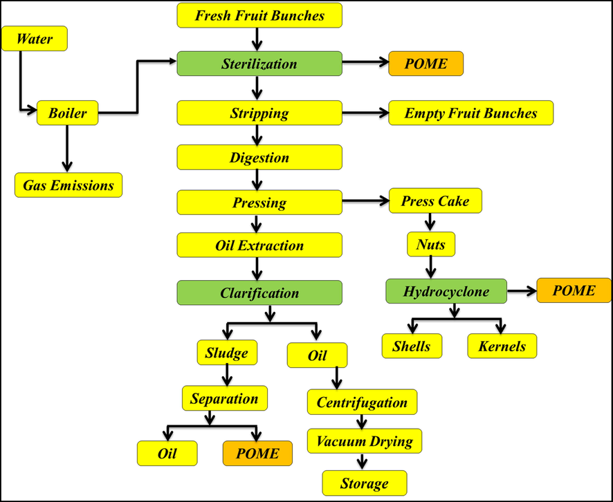 Diagram of the palm oil mill processes (Igwe and Onyegbado, 2007; Rupani et al., 2010).