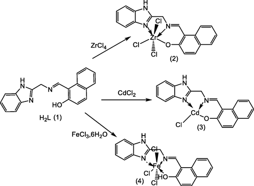 Structures of complexes Co (II), Cd(II) and Fe(III).