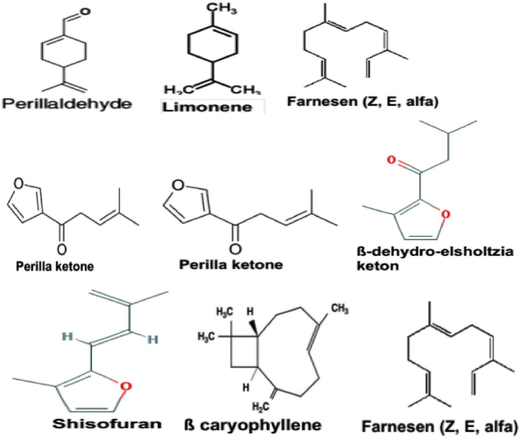 Structures of the chief volatile compounds identified in perilla genotypes.