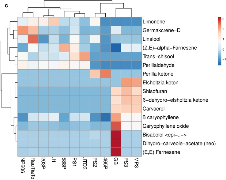 a) PCA Score plot for the main variation of essential oil compositions among twelve Perilla populations. b) Loading plot for volatile constituents explaining the variation on PC1 and PC2 axes. C) A dendrogram obtained by hierarchical cluster analyses of the heatmap on essential oil components of 12 Perilla samples.