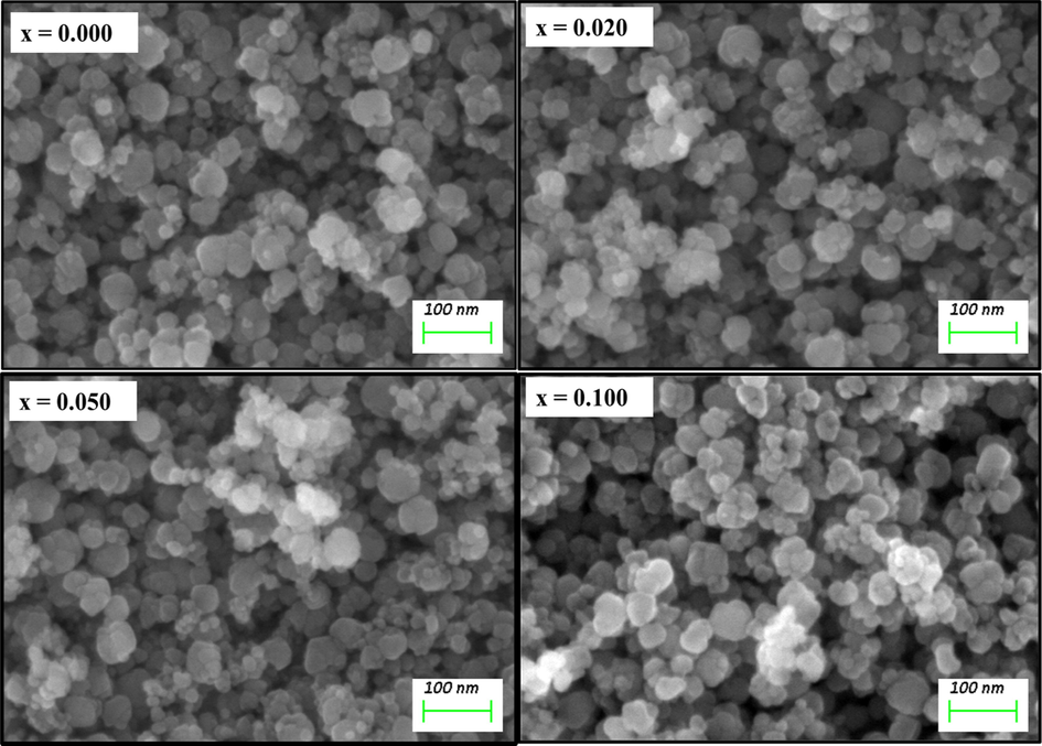 The SEM images of the synthesized CDMZNSFs (x = 0.000, 0.020, 0.050 and 0.100).