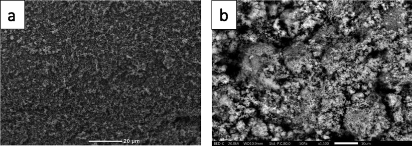 SEM images of undoped TiO2 (A), Zn/TiO2 (b).