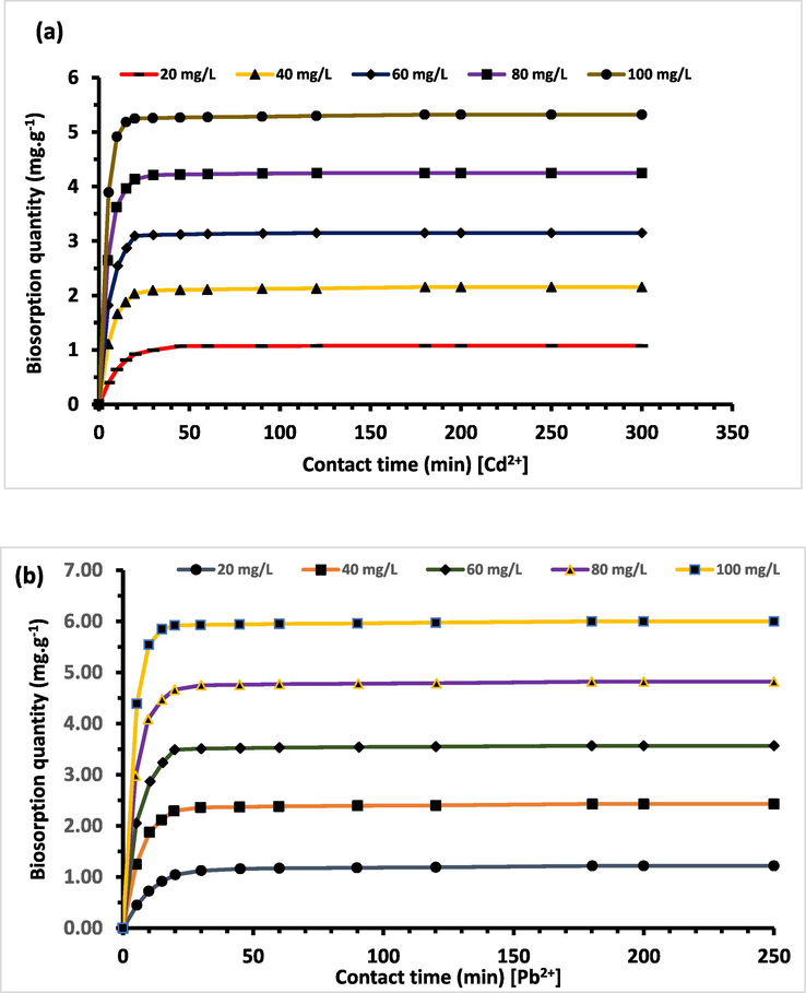 Effect of contact time on biosorption capacity to Acacia Gummifera biomass of (a) Cd2+ and (b) Pb2+. Experimental conditions: biosorbent dosage = 0.8 g; contact time: 300 min, temperature 303 K, pH = 6.5.