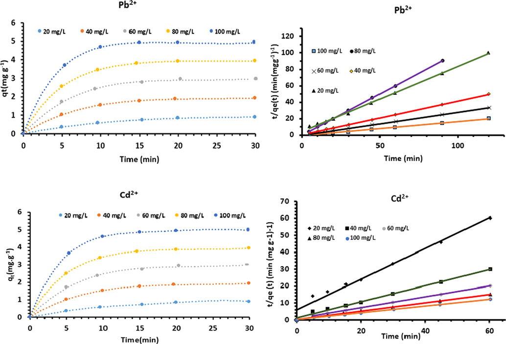 Experimental kinetic data and pseudo second order kinetics for Pb2+ and Cd2+ adsorption on A. Gummifera.