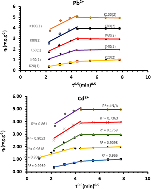 Intraparticulate diffusion model for the biosorption of Pb2+ and Cd2+ ions onto Acacia Gummifera.