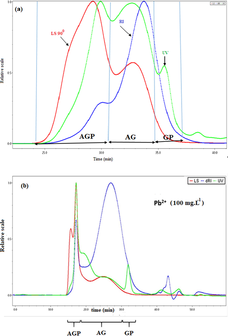 SEC-HPLC / UV-MALLS-RI chromatogram of (a) A. Gummifera gum sample, (b) Lead complexation with some functional groups of AGP and GP fraction and (c) Cadmium complexation with some AG functional groups.