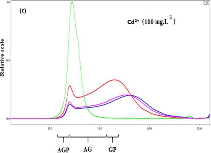 SEC-HPLC / UV-MALLS-RI chromatogram of (a) A. Gummifera gum sample, (b) Lead complexation with some functional groups of AGP and GP fraction and (c) Cadmium complexation with some AG functional groups.