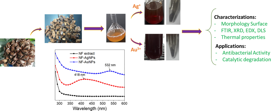 Schematic illustration for study of NF-AgNPs and NF-AuNPs biosynthesized from waste Nypa fruticans fruit husk extract.