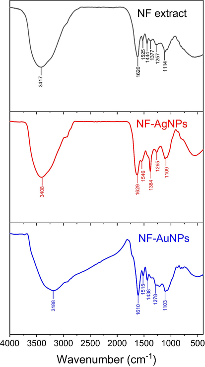 FTIR spectra of NF fruit husk extract, NF-AgNPs and NF-AuNPs.