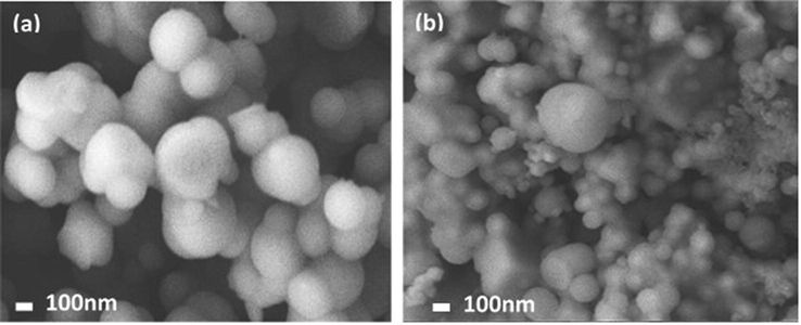 SEM of (a) SiO2, and (b) SiO2/CuFe2O4/PANI composite.