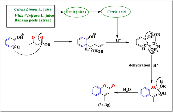 Possible mechanism for synthesis of substituted coumarins (3a-3g).