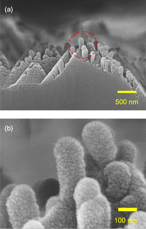 Cross-sectional SEM images of black silicon with the AgNO3 concentration of 0.03 M.