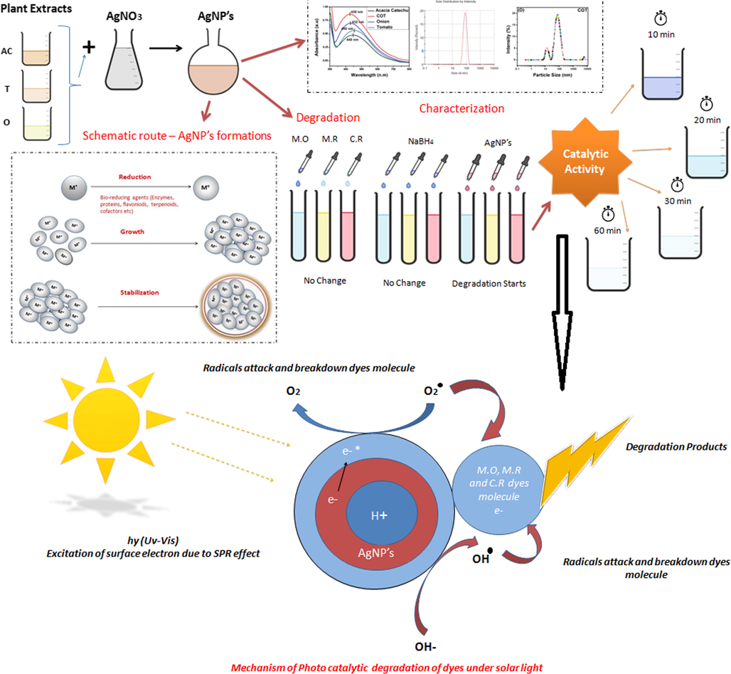 Schematic representation of the mechanism of nanoparticles and degradation.