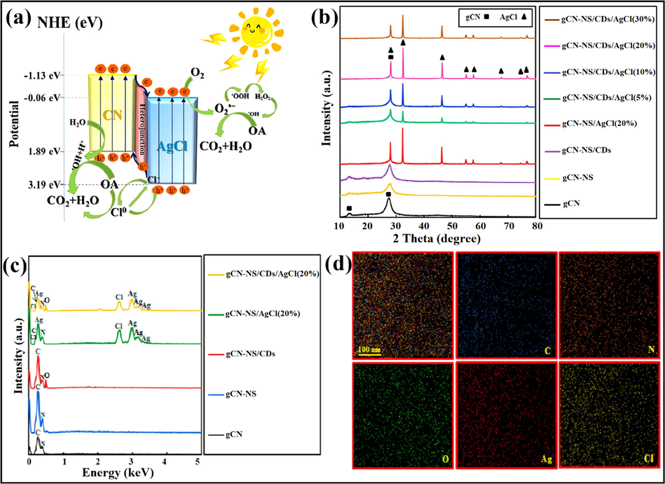 (a) Type- II degradation mechanism in AgCl-CN nanocomposite; reproduced with permission from Elsevier (Licence no. 4747851498621) (Shi et al., 2019), (b) XRD pattern for g-C3N4-NS/CDs/AgCl photocatalyst with no prominent peaks for CDs, (c) EDX spectra of as-prepared nanocomposite, and (d) EDX mapping confirming elemental distribution; reprinted with permission from Elsevier (Licence no. 4747860423948) (Asadzadeh-Khaneghah et al., 2018).