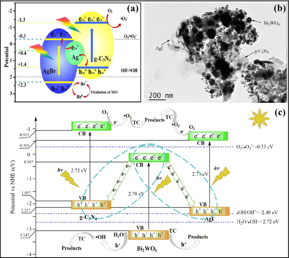 (a) Mechanistic view of Ag@AgBr/g-C3N4 nanocomposite; reproduced with permission from Elsevier (Licence no. 4751150026281) (Yang et al., 2014), (b) TEM studies explicating uneven dispersal of AgI NPs onto g-C3N4 surface, and (c) Z-scheme charge transfer mechanism in g-C3N4/Bi2WO6/AgI nanohybrid; reproduced with permission from Elsevier (Licence no. 4751171004447) (Xue et al., 2019).