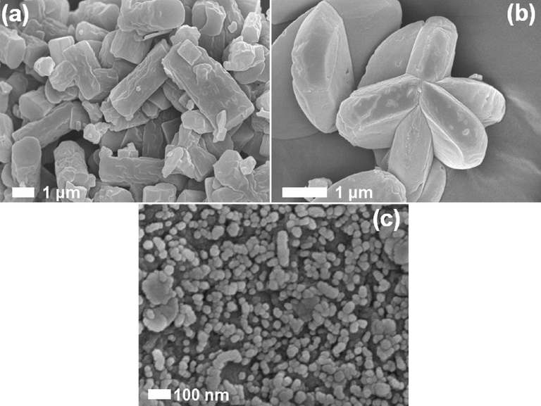 SEM images of (a) ZIF-8, (b) ZnNi-ZIF, and (c) ZIF-L samples.