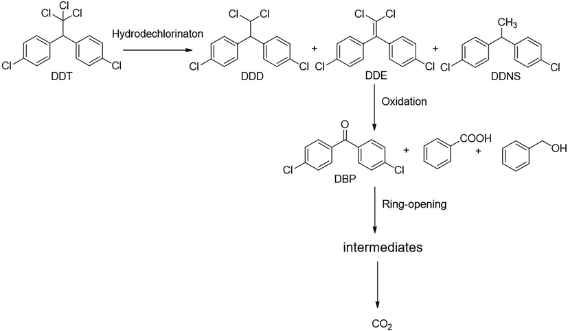 The intermediates and degradation pathway for DDT using persulfate activation by nZVI.