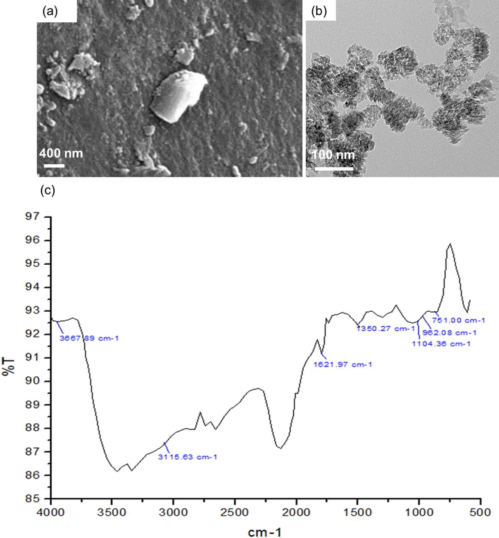 (a) SEM top view image of N-doped TiO2, (b) TEM image of N-doped TiO2, (c) FTIR spectra of N doped TiO2.