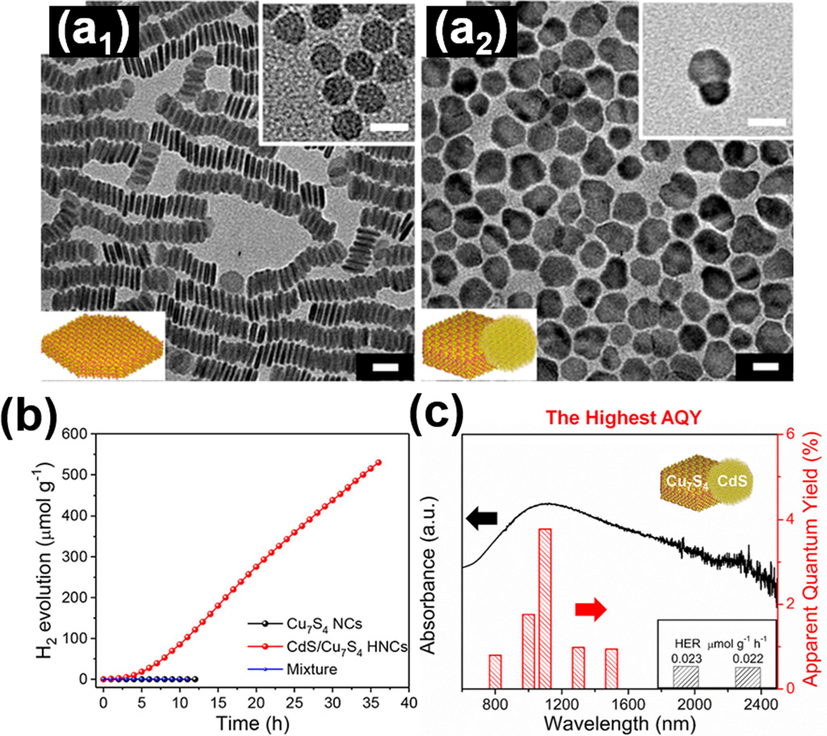 TEM images for (a1) starting Cu7S4, (a2) resulting CdS/Cu7S4. (b) Hydrogen production on pure Cu7S4 and CdS/Cu7S4 under NIR illumination. (c) Quantum efficiency and the corresponding LSPR absorption spectrum for CdS/Cu7S4. Reprinted with permission (Lian et al., 2019). Copyright 2019, American Chemical Society.