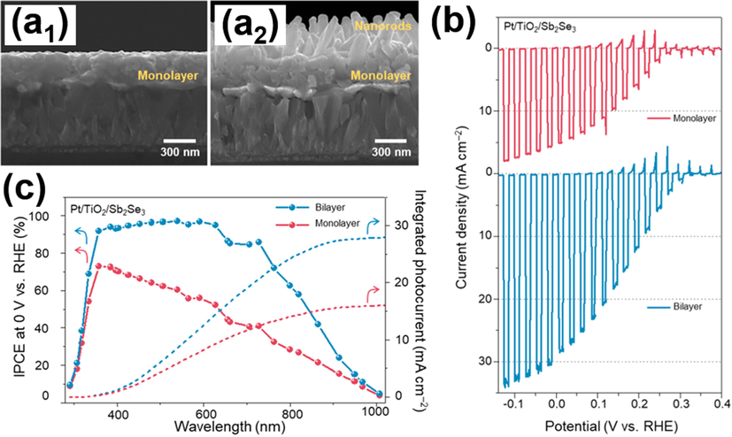 SEM images of (a1) compact monolayer, (a2) bilayer structure of Sb2Se3. (b) I-t curves, (c) IPCE data and the integrated photocurrent values. Reprinted with permission (Park et al., 2020). Copyright 2020, American Chemical Society.