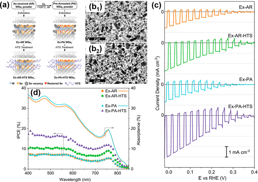 (a) Scheme of WSe2 preparation with PA and HTS treatments. TEM images for (b1) Ex-AR and (b2) Ex-PA WSe2. (c) I-V curves and (d) IPCE data for the four samples. Reprinted with permission (Yu et al., 2018). Copyright 2018, American Chemical Society.