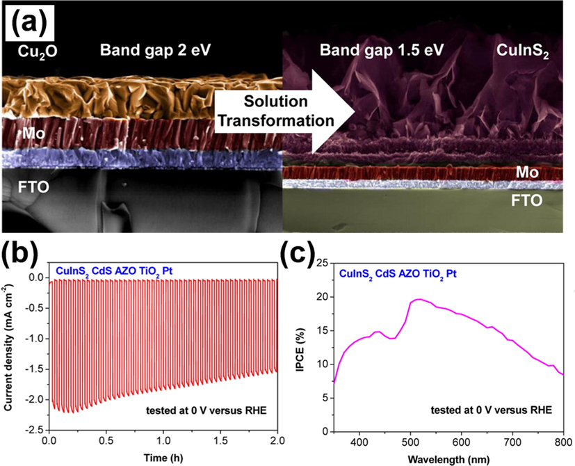 (a) SEM images of the initial Cu2O and the transformed CuInS2. (b) I-t curves and (c) IPCE data for modified CuInS2. Reprinted with permission (Luo et al., 2015). Copyright 2015, American Chemical Society.