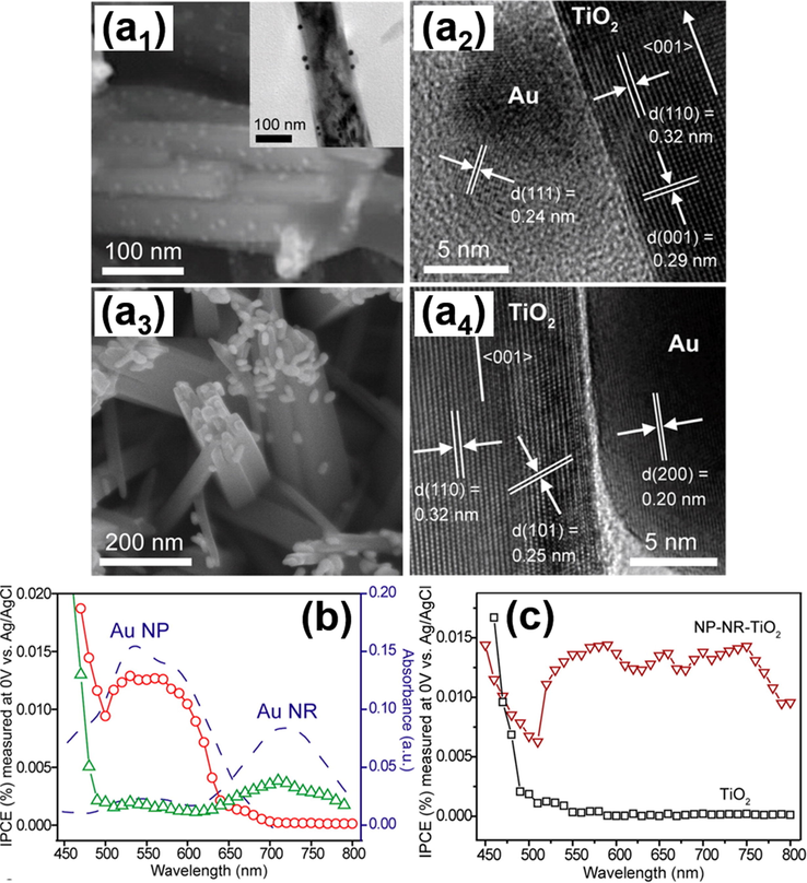 SEM and TEM images for (a1-a2) Au NP-deposited TiO2, (a3-a4) Au NR- deposited TiO2. (b) IPCE data and the corresponding absorption spectra. (c) IPCE data for Au NP-NR-deposited TiO2. Reprinted with permission (Pu et al., 2013). Copyright 2013, American Chemical Society.