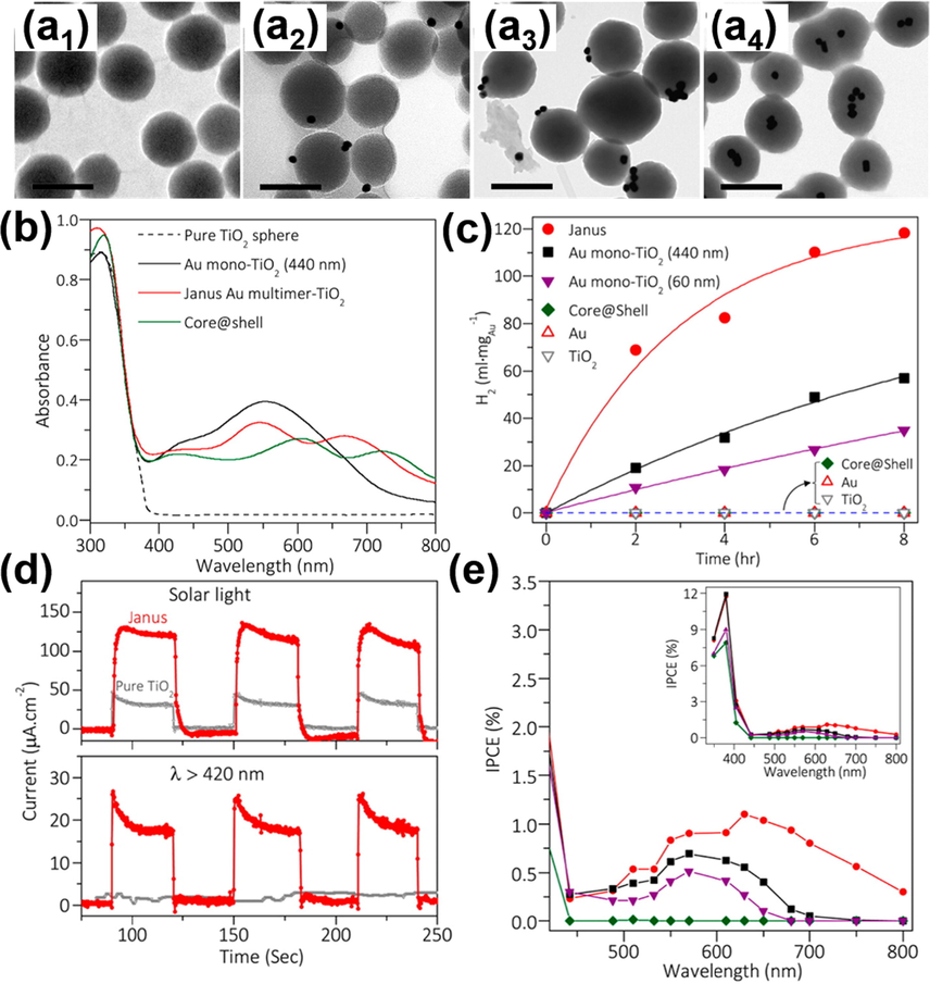 TEM images (scale bar = 500 nm) for (a1) pure TiO2, (a2) Au mono-TiO2, (a3) Janus Au multimer-TiO2, (a4) core@shell. (b) Absorption spectra, (c) photocatalytic hydrogen production data, (d) I-t curves, (e) IPCE data for relevant samples. Reprinted with permission (Zhang et al., 2016). Copyright 2016, American Chemical Society.