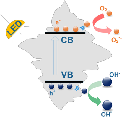 Mechanism of photodegradation organic compounds using monoclinic scheelite BiVO4 crystals oriented along (0 4 0) facets.