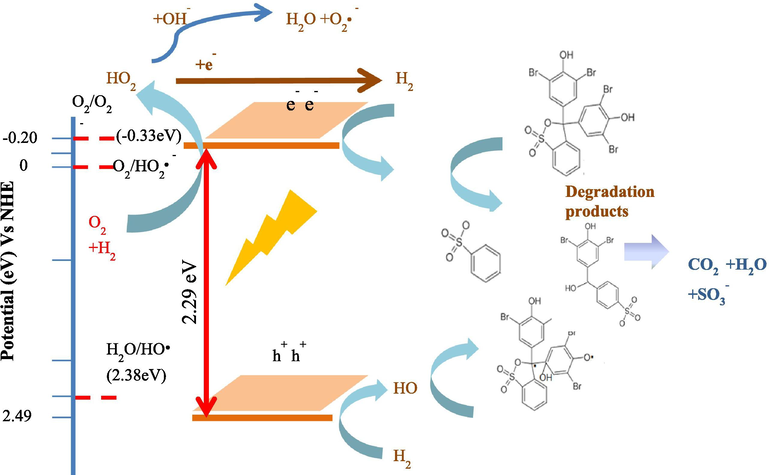 Schematic representation of the photocatalytic mechanism by HNPs/TUD-1.