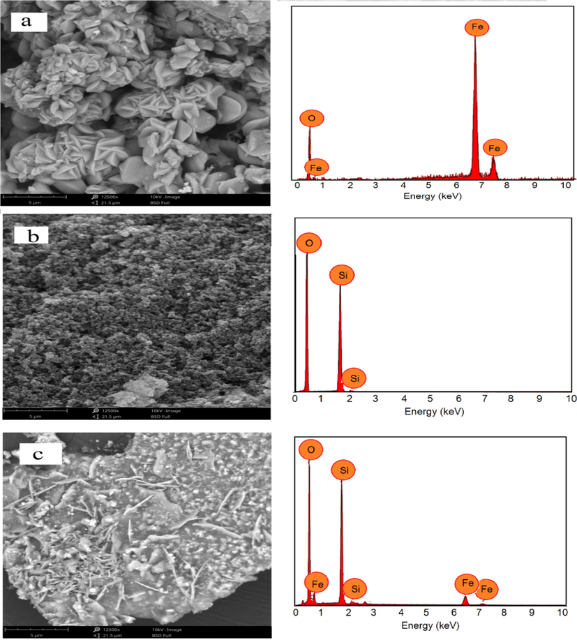 SEM/EDX profile of (a) HNPs (b) TUD-1 (c) HNPs/TUD-1.