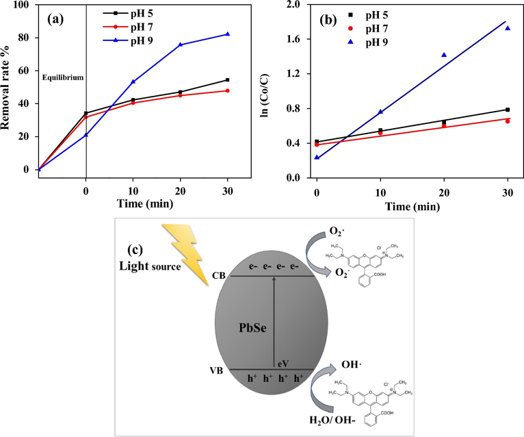 Photocatalytic activity of PbSe NPs for the degradation of rhodamine B under (a) visible light irradiation and (b) pseudo-first-order kinetic plots of rhodamine B, (c) schematic photocatalytic mechanism of PbSe NPs in degrading rhodamine B.