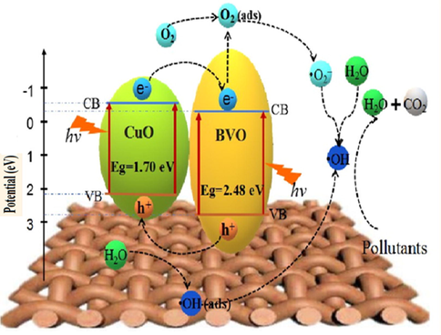 Schematic mechanism view of CuO/BiVO4 heterostructure under visible-light region. (Reprinted with permission from Ref. Ran et al. (2019) and copyright with License Id. 4771860722568).